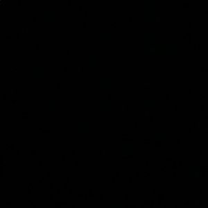 Meet your Posher, Shania